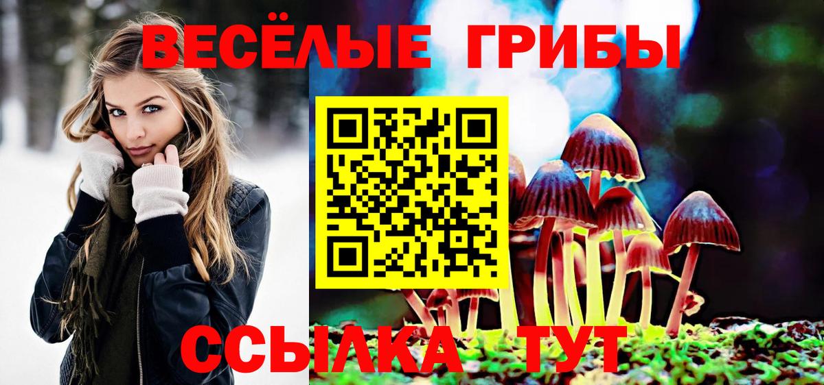 Галлюциногенные грибы мицелий  что такое   Петрозаводск  Вход с VPN  Псилоцибиновые грибы GOLDEN TEACHER 